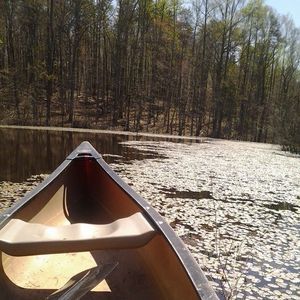 Meet your Posher, Carson